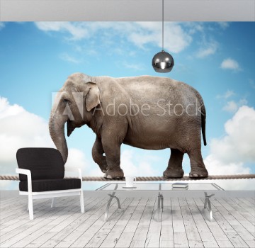 Picture of Elephant on tightrope